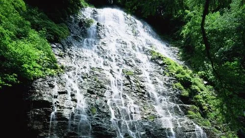 先进数字化高端